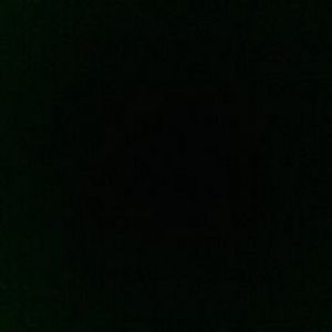 Meet your Posher, Martha